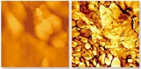 扫描探针声学显微镜SPAM/原子力显微镜AFM检测结果
